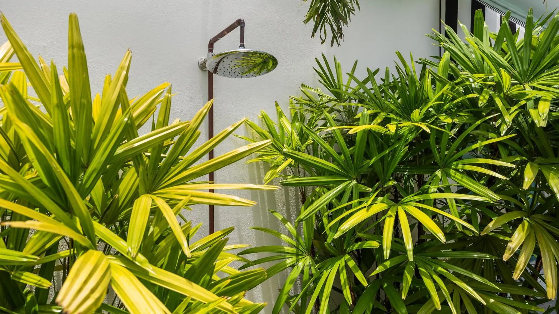 Hotel The Weekender By Otium San Juan